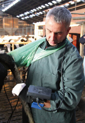 wrist vet use ultrasound scanner