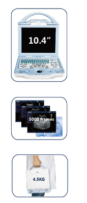 KX5600V portable ultrasound scanner for veterinary