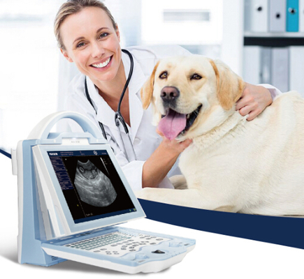 KX5600V portable ultrasound scanner for veterinary