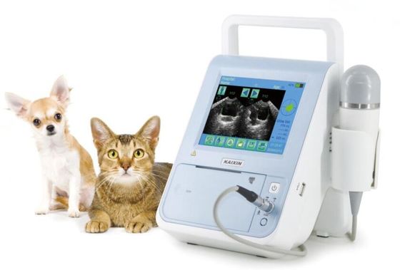 Escáner de vejiga veterinario BVT01